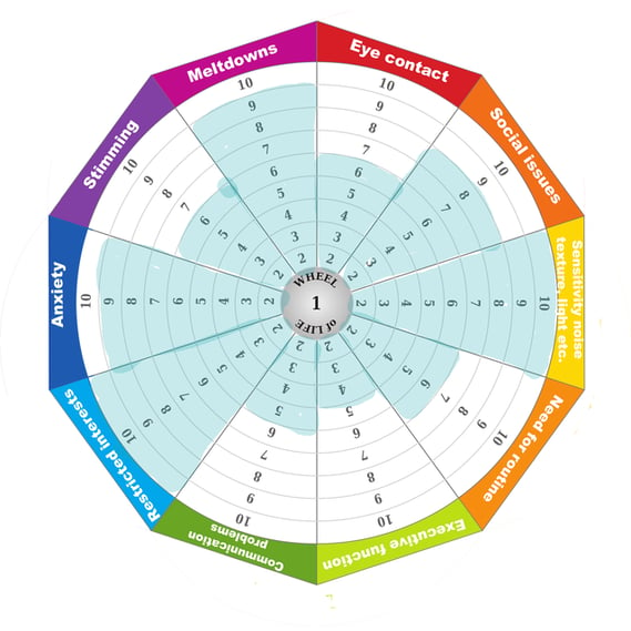 anita_autism_wheel